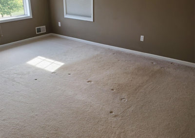 Carpet Before
