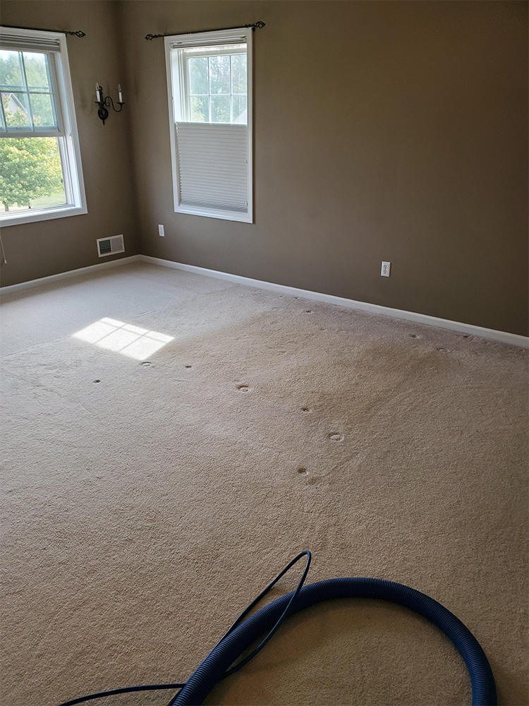 Carpet Cleaning Rochester NY - Best Rug & Carpet Cleaners
