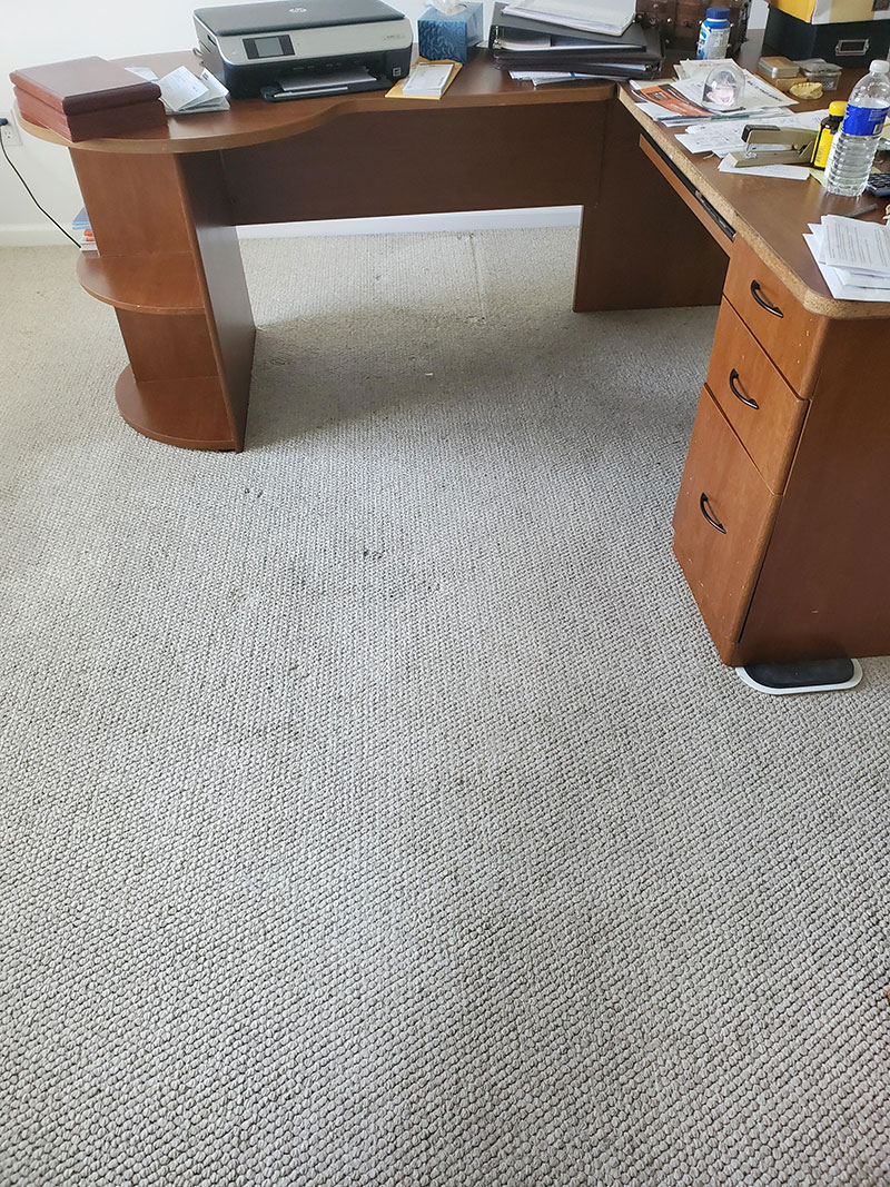 Office Carpet Cleaning Before